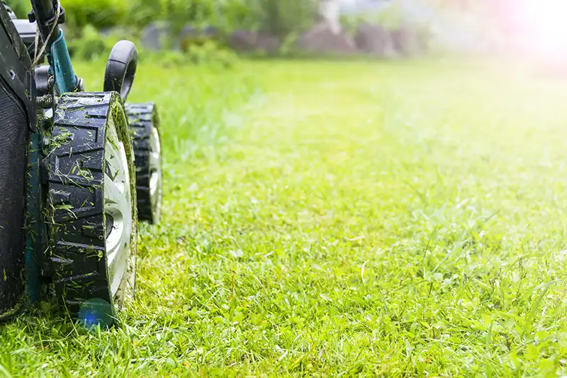 A Step-by-Step Guide on How To Mow A Lawn Quincy MA