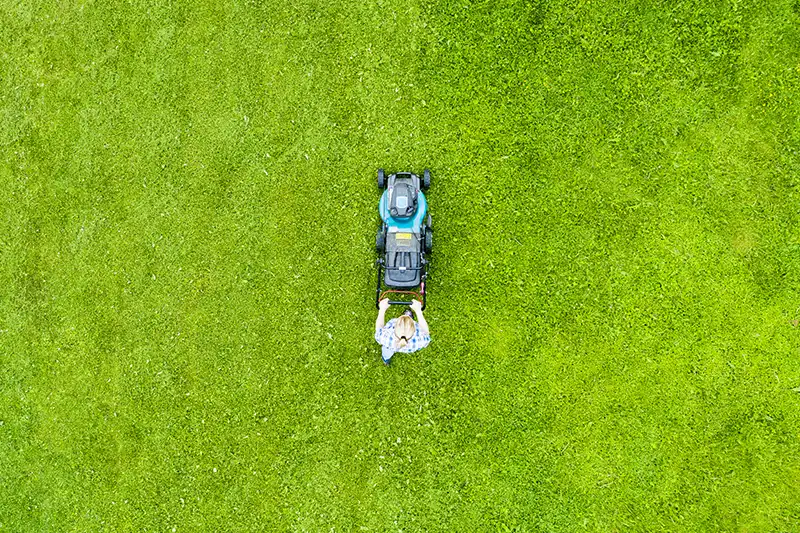 A Step-by-Step Guide on How To Mow A Lawn in Quincy MA