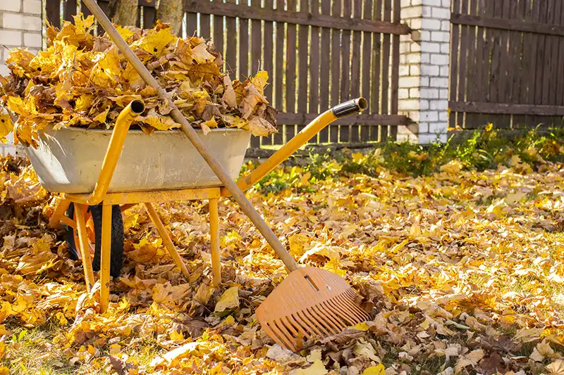 How to Clear a Yard Full of Weeds in Quincy MA