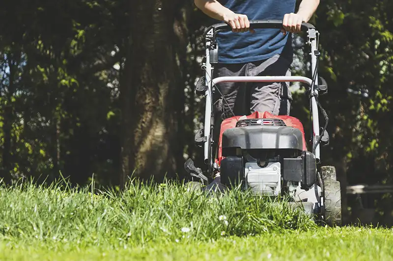 Lawn Mowing Quincy MA