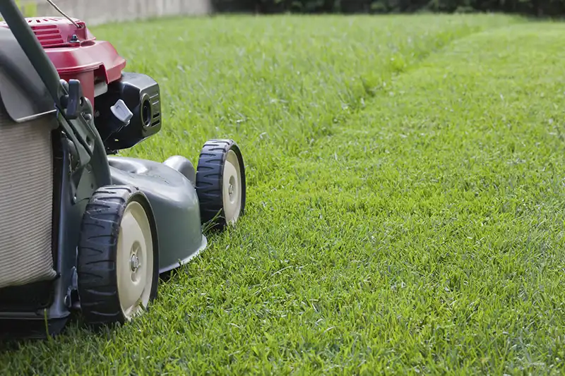 Lawn Mowing in Quincy MA