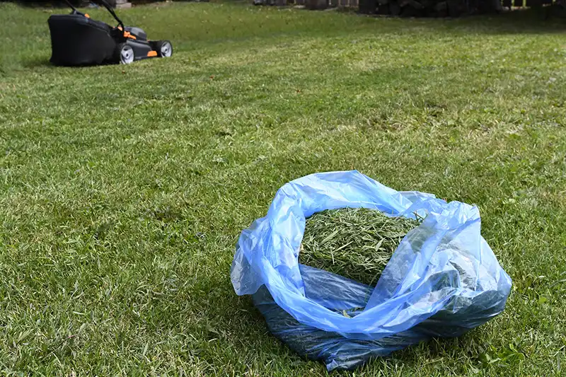 Mulching in Quincy MA