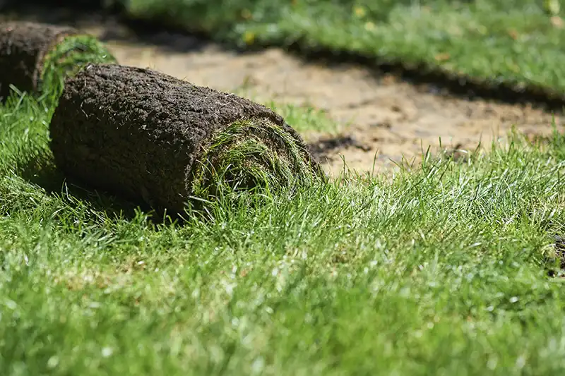 Sod Installation in Quincy MA