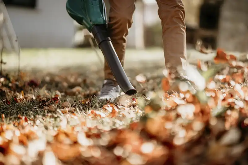 Three Easy Steps on How to Clean a Backyard Quincy MA