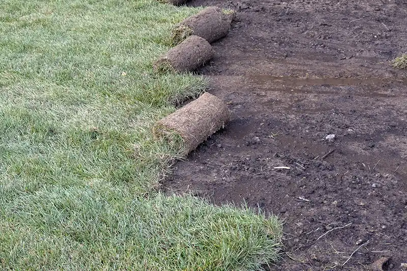 Understanding How Long After Installing Sod Can You Walk On It in Quincy MA