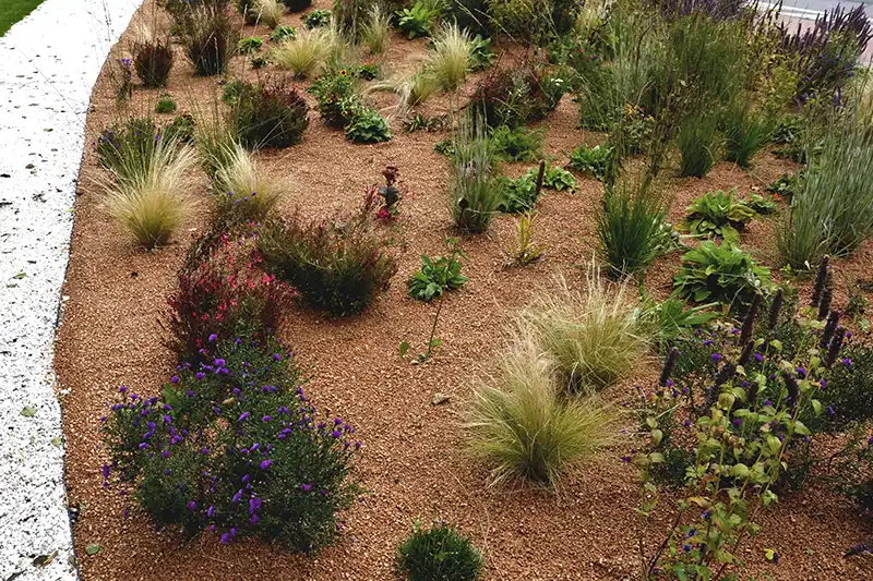 Understanding How Long Does Mulch Last in Quincy MA