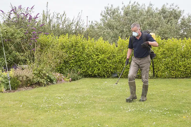 When is the Best Time to Fertilize Your Lawn Quincy MA