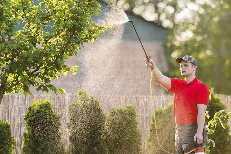 When is the Best Time to Fertilize Your Lawn in Quincy MA