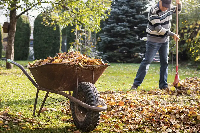 Yard Cleanup for Quincy MA